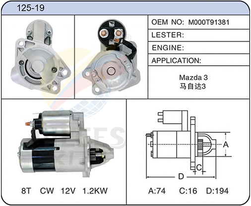 125-19(M000T91381)